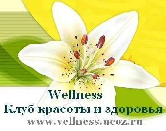 Wellness Вэлнес Клуб красоты и здоровья